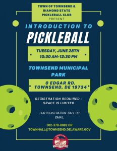 Intro to pickleball flyer
