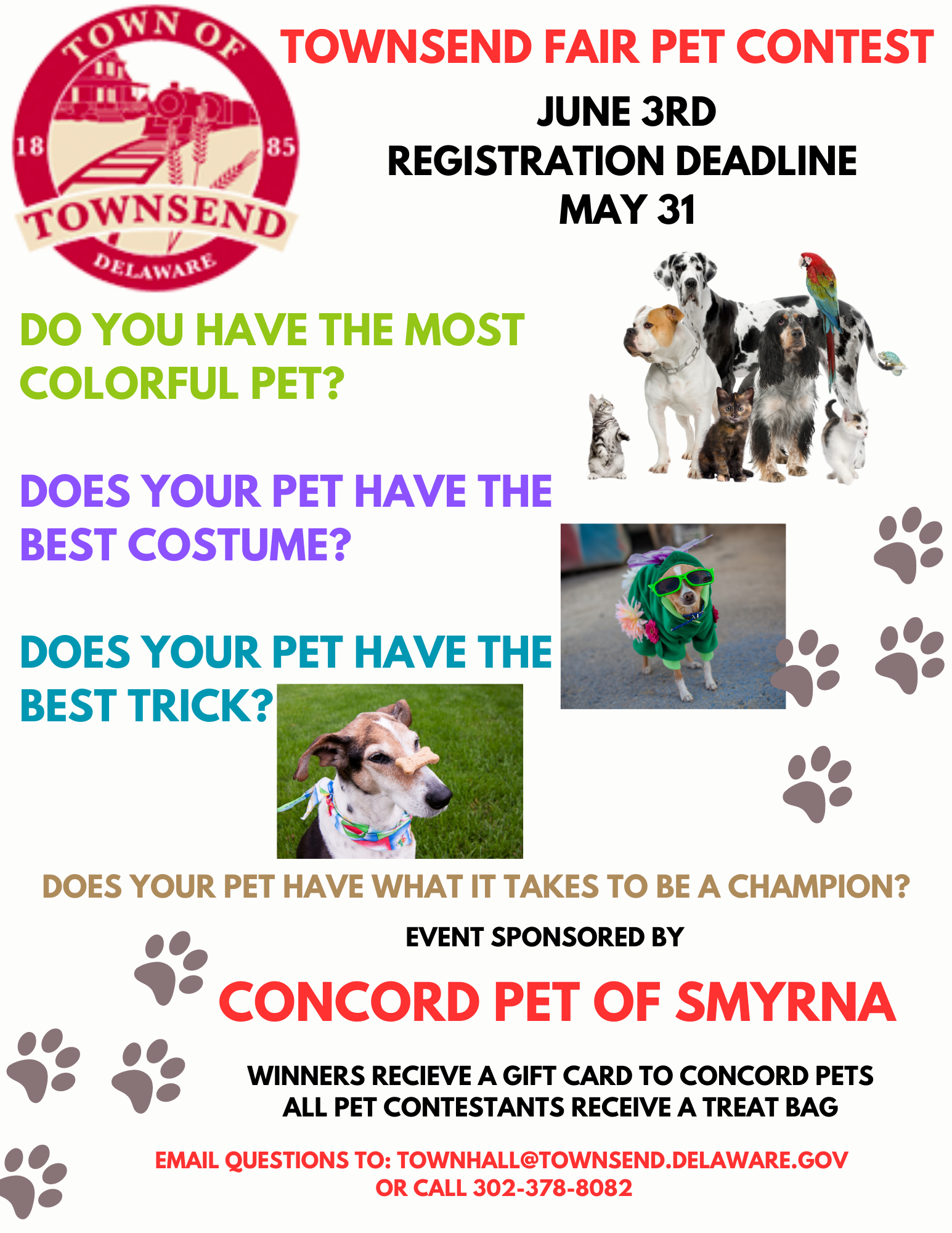 Pet Contest Flyer 