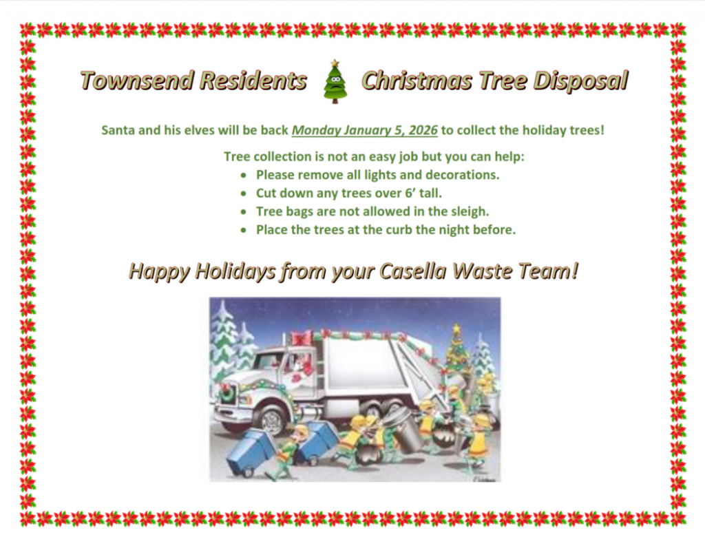 Christmas Tree Disposal Flyer